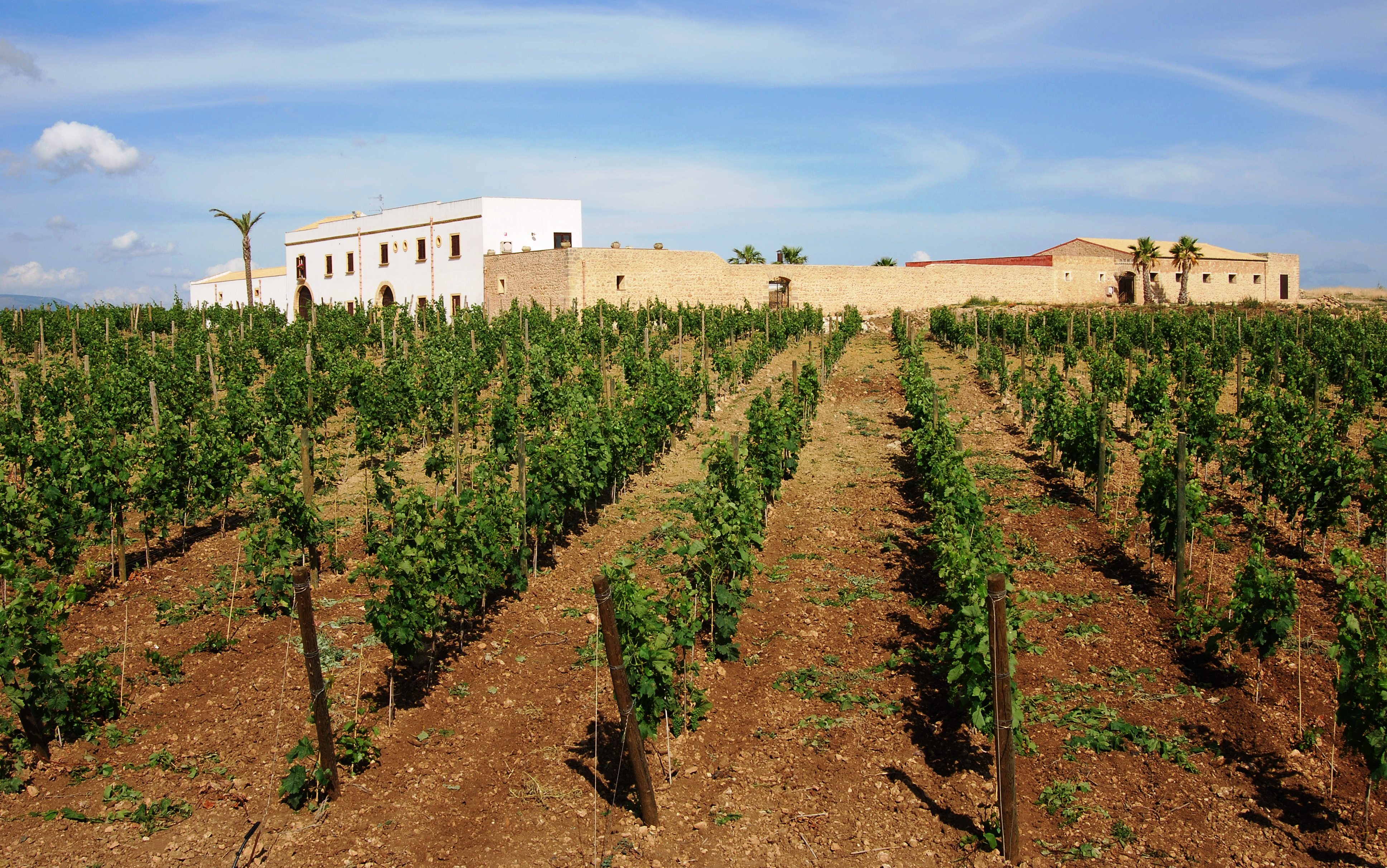 Winery & Resort Marsala Sicilia Italia Solaris