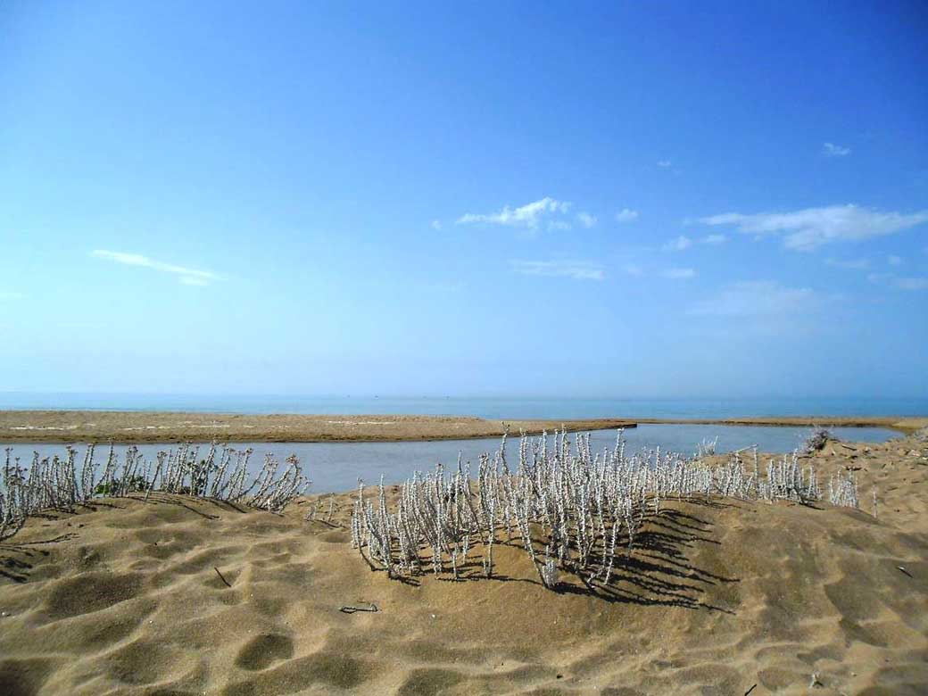 Spiaggia foce del fiume Belice