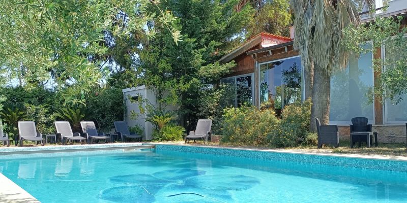 A beautiful swimming pool set in a Mediterranean garden Agriturismo Trani a beautiful swimming pool set in a Mediterranean garden