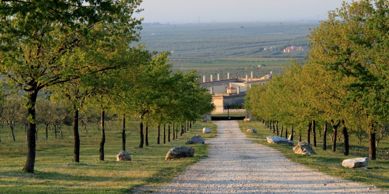 Historical Apulian masseria surrounded by the countryside near Castel del Monte, Puglia