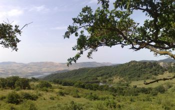 Bosco di Ficuzza