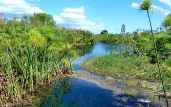 Fiume Ciane e Saline di Siracusa