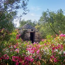 A beautifully landscaped garden in full bloom A blooming garden in the agriturismo Trani