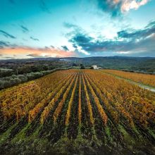 Etna Winery Retreat