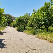 Nature pathway