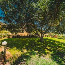 Green garden with trees and Mediterranean vegetation at a rural retreat