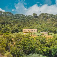 Agriturismo Cefalù, merged in the Mediterranean nature