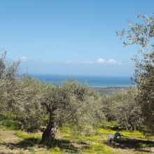 Agriturismo Cefalù Madonie_View