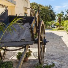 Agriturismo Trapani_Outdoor