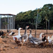 Agriturismo Trapani_farm