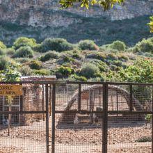 Agriturismo Trapani_farm