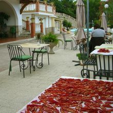 Country Hotel Peschici_dryed tomatoes