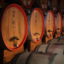 Let the wine tell you something about the land it comes from Glass of red wine served at a wine estate in the Apulian countryside