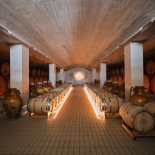 Where every barrel holds a story Wine barrels ageing inside a traditional Apulian winery