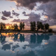 Relais Castel del Monte_pool view