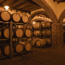 Luxury winery resort Castelbuono_wine cellar