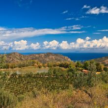 Luxury winery resort Castelbuono_view