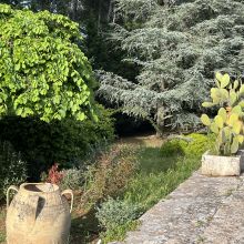 Charme Retreat Martina Franca, a corner of the garden