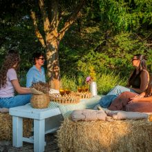 Charme Retreat Martina Franca, experience in the garden