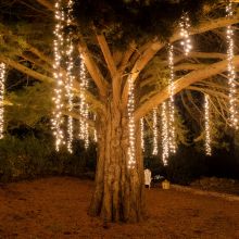 Charme Retreat Martina Franca, the garden by night