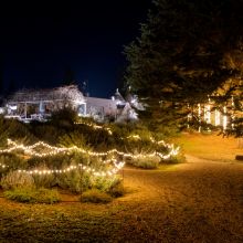Charme Retreat Martina Franca, the garden by night
