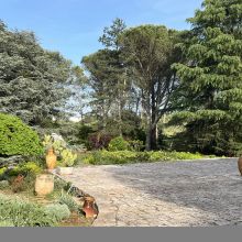 Charme Retreat Martina Franca, the beautiful garden