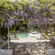 Charme Retreat Martina Franca, the garden and the pool