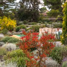 Charme Retreat Martina Franca, colorful garden
