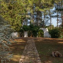Charme Retreat Martina Franca, the garden