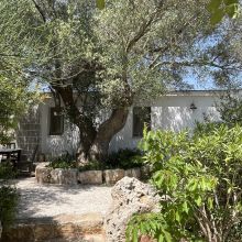 Outdoor living area, in touch with the Puglian nature Cisternino Trulli-outdoor living area