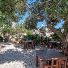 The garden Cisternino Trulli-the garden