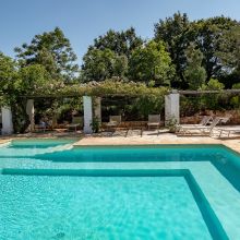 The pool and the garden Cisternino Trulli-the pool