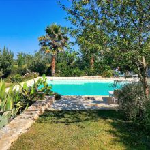 The pool and the garden Cisternino Trulli-the pool and the garden