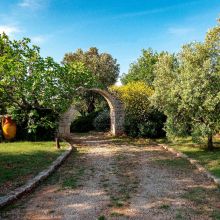 Welcome to your home in Puglia Cisternino Trulli-welcome to our home