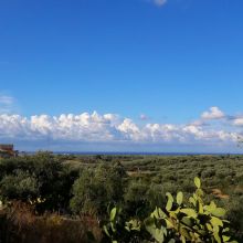 Country coach house Ruvo-view of the seaside