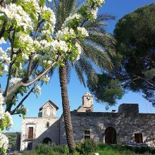 Country coach house Ruvo-view of the house