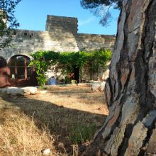 Country coach house Ruvo-view 