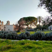 Country coach house Ruvo-view