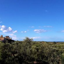 Country coach house Ruvo-view