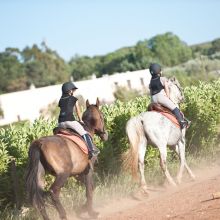 Country Hotel Otranto_horses