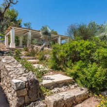 Mediterranean vegetation surrounding a traditional Apulian holiday home