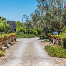The entrance to the retreat by Ugento