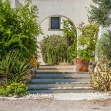 Rustic stone architecture and Mediterranean plants at a Salento retreat
