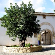 Agriturismo sea Noto