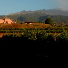 Wine country stay Etna_view