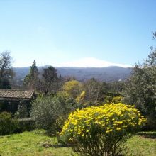 B&B Etna trekking_garden