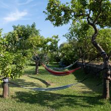 A quiet escape from the everyday Outdoor relaxation area surrounded by greenery at an organic country hotel in eastern Sicily