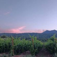 Etna Winery Retreat