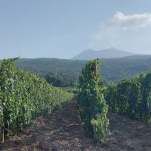 Etna Winery Retreat