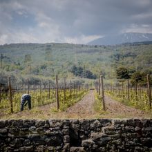 Etna Winery Retreat